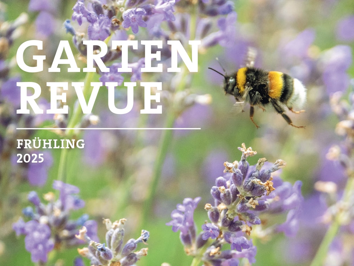 Peter_Abderhalden_Zell_Gartenrevue_01-2025_page-0001